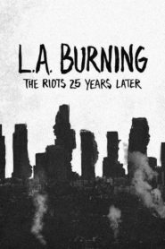 25 let po nepokojích v L.A.