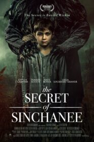 Tajemství Sinchanee