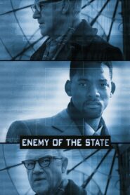 Nepřítel státu